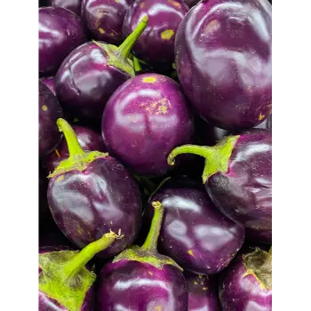 Organic Brinjal 